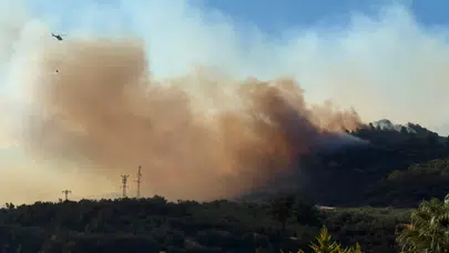 Çanakkale'de 2 ayda toplam 44 orman yangını çıktı