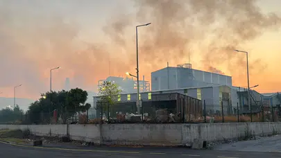 Aydın Söke'de fabrika yangını : İş yerinde hasar oluştu