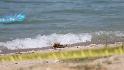 Çanakkale'de halk plajında tarihi mühimmat alarmı : Bomba imha ekipleri sevk edildi
