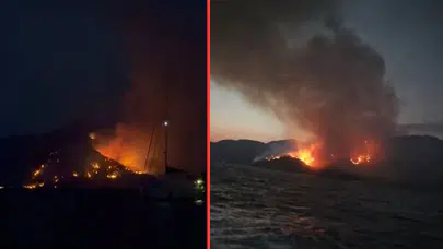 Muğla Marmaris'te orman yangını