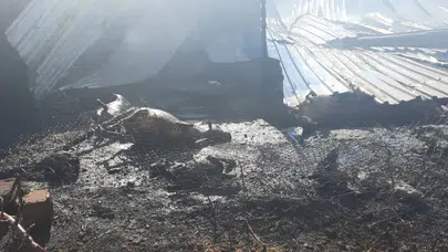 Niğde'de çiftlik yangını : 250 küçükbaş hayvan telef oldu
