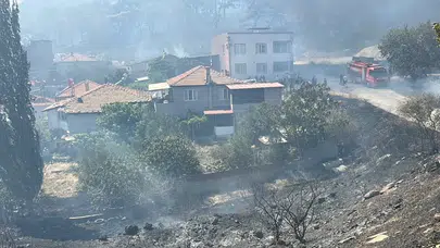 Balıkesir Kaz Dağları'nda orman yangını