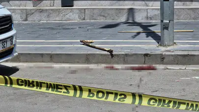 Şırnak'ta aileler arasında taşlı sopalı kavga : 1'i ağır 2 yaralı