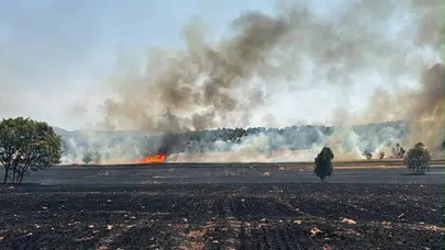 Kütahya'da tarlada başlayıp ormana sıçrayan yangın kontrol altına alındı
