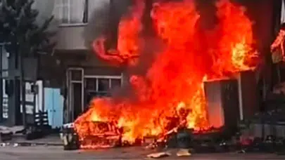 Gaziantep'te petshop yandı : Çok sayıda hayvan telef oldu