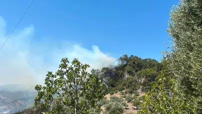 Balıkesir Germencik'te orman yangını