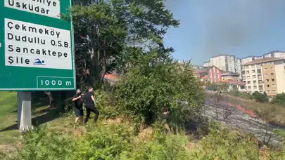 Ümraniye TEM Otoyolu'nda otluk alanda yangın