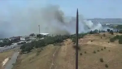 Büyükçekmece'de otluk ve ormanlık alanda yangın
