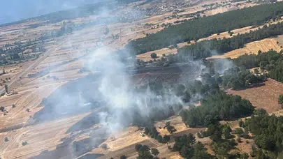 Kütahya Emet'te orman yangını : 2 hektar alan zarar gördü