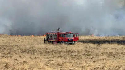 Bitlis'te korkutan yangın ! Rüzgarla yayıldı, 300 dönümlük alan zarar gördü