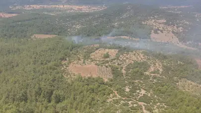 Menteşe'de çıkan orman yangını kontrol altında