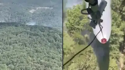 Edremit'te orman yangını ! Yıldırımın neden olduğu değerlendiriliyor