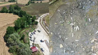 Samsun'da balık ölümlerine yol açan tesise 839 bin TL ceza