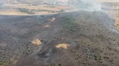 Elazığ'da ormana sıçrayan yangın 4 saatlik müdahaleyle söndürüldü