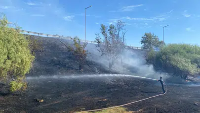 Aydın'da okul yanında yangın : Öğretmenler ve öğrenciler müdahale etti
