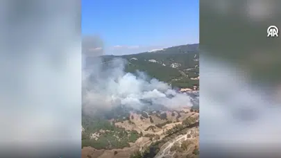 Balıkesir'de orman yangını çıktı