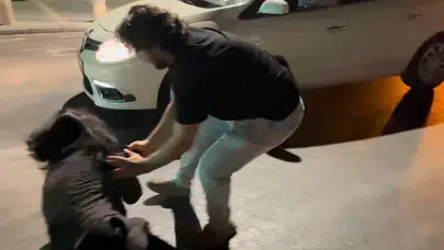 Ters yöne giren sürücü polise ve gazetecilere saldırdı