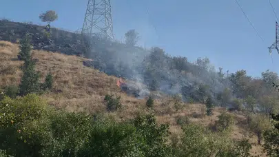 Çankırı'da arazi yangını : 650 dekarlık alan zarar gördü