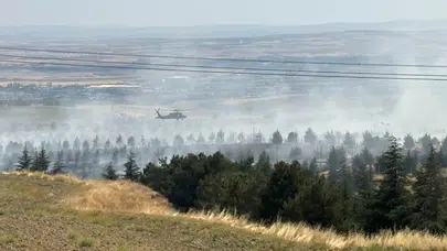 Ankara Gölbaşı'nda ormanlık alanda yangın