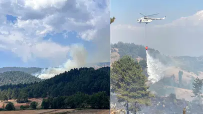 Kahramanmaraş'ta ormanlık alanda yangın : Havadan ve karadan müdahaleyle söndürüldü