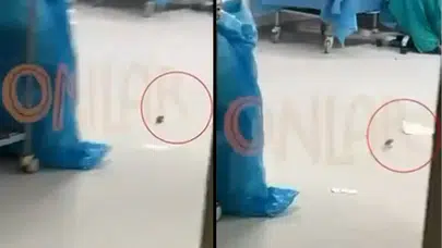 İstanbul’daki şehir hastanesindeki ameliyathanede fare görüldü