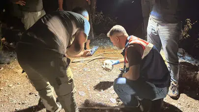 Ormanlık alanda tüyler ürperten keşif