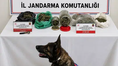 Kayseri'de uyuşturucu operasyonu : 1 tutuklu