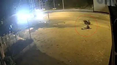 Trabzon'da motosiklet trafik levhasına çarptı : 17 yaşındaki sürücü yaralandı