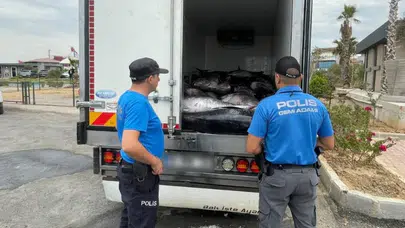 İzmir'de kaçak avlanan 3 ton orkinos ele geçirildi