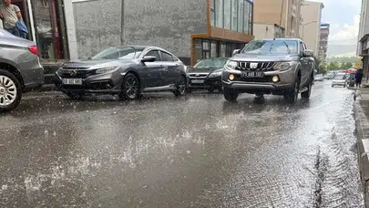 Çıldır Gölü'nde etkili olan sağanak yaşamı olumsuz etkiledi