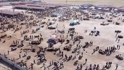 Ağrı Hayvan Borsası şap hastalığı nedeniyle kapatıldı