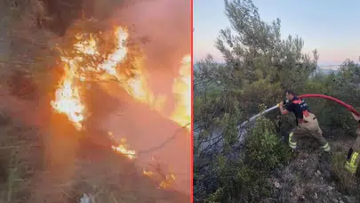 Hatay Antakya'da orman yangını çıktı