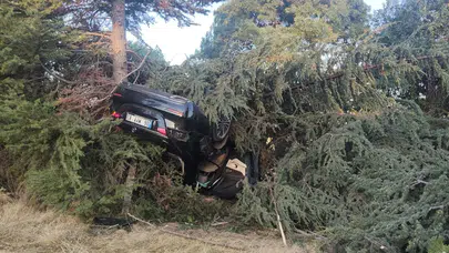 Elazığ'da otomobil ağaca çarptı : Sürücü yaralandı