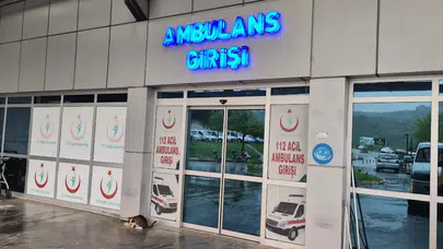 Zonguldak'ta ağaçtan düşen kişi ve merdiveni tutan komşusu yaralandı
