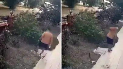 İzmir’de yavrularının yanındaki kediye tekme attı : 13 bin TL ceza kesildi