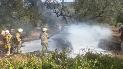 Bursa Orhangazi'de trafik kazası : Zeytinliğe devrilip yanan otomobilde 1 ölü, 5 yaralı