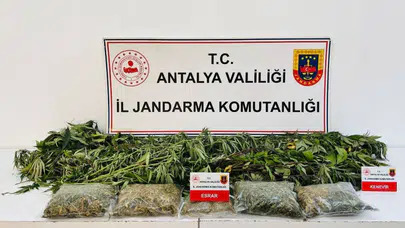 Alanya'da uyuşturucu baskını : 24 kök kenevir ve 2 kilo 642 gram esrar ele geçirildi