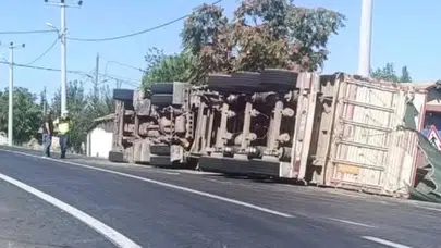Tekirdağ Hayrabolu'da ayçiçeği yüklü kamyon devrildi : 1 yaralı