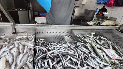 Karadeniz'de balık bolluğu : Palamut ve hamsi tezgahları doldurdu