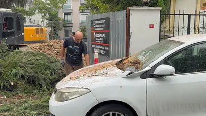Maltepe'de kesilen ağaç park halindeki iki aracın üzerine devrildi