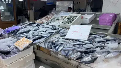 Sinop'ta balık tuzlama yöntemleri neden farklılık gösteriyor?