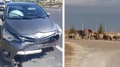Eskişehir'de yola fırlayan koyuna çarpan otomobil kaza yaptı