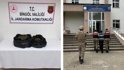 19 bin 314 kök kenevir ele geçirildi