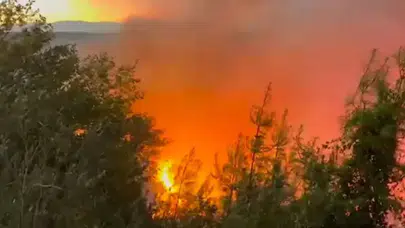 Adana Kozan'da 2 mahallede orman yangını