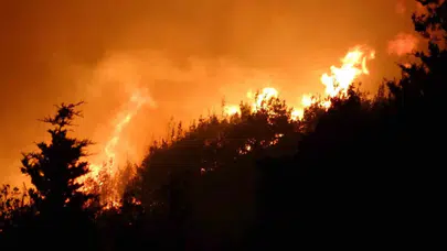Bolu Gerede'de orman yangını : Alevlere havadan ve karadan müdahale ediliyor