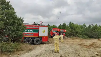 Arnavutköy'de ormanlık alanda yangın