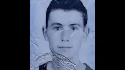 Kediniz Neden Sizi Uzun Uzun İzliyor? Bu Durumun Arkasındaki Gerçek Nedir?