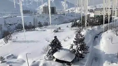 Derya Çayırgan Kimdir? Neden Gözaltına Alındı ve Özel Hayatı Hakkında Bilgiler