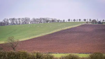 Dünyanın En Romantik Şehirleri Nereler? Sevgililer Günü İçin En İyi Seçenekler