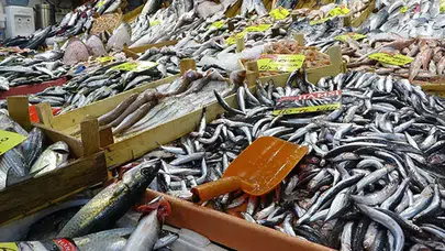 Zonguldak'ta Balık Tezgahlarında Fiyatlar Düşmeyecek Mi?